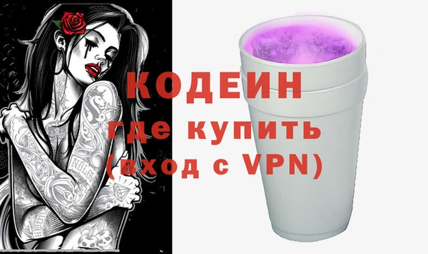 соль ск Новозыбков