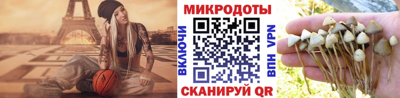 купить закладку  Орёл  Псилоцибиновые грибы мухоморы 